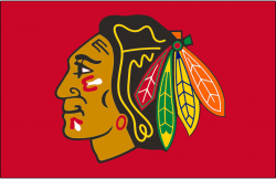 Chicago Blackhawks Jersey Logo - National Hockey League (NHL ...