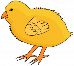 Chick clipart. Free download. | Creazilla