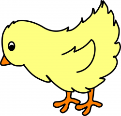 Chick clipart baby chicken, Chick baby chicken Transparent ...