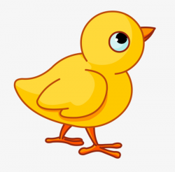 Chick clipart bird, Chick bird Transparent FREE for download ...
