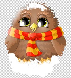 Santa Claus Owl Christmas Robin Bird , Scarf chick PNG ...