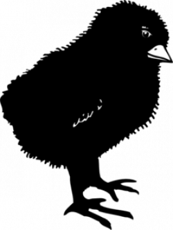 Black Baby Chick Clip Art at Clker.com - vector clip art ...