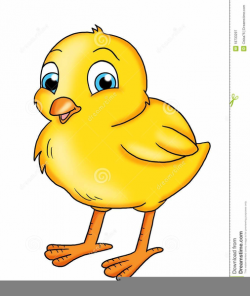 Cartoon Chick Clipart | Free Images at Clker.com - vector ...