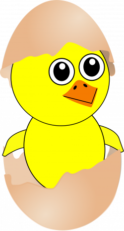 Easter chick cartoon clipart - Clipartix