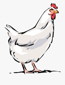 Download for free 10 PNG Chicken clipart black and white ...