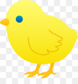 Baby Chick PNG and Baby Chick Transparent Clipart Free Download.