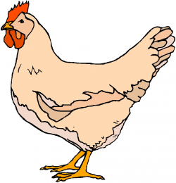 Free Chicken Images Free, Download Free Clip Art, Free Clip Art on ...
