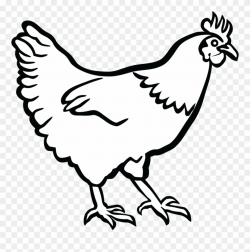 Picture Freeuse Stock Free Chicken Clipart Download - Black And ...