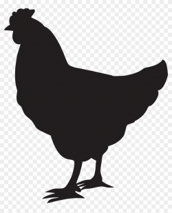 Black And White Stock Chicken Clipart Png, Transparent Png ...
