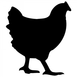 Free Chicken Clipart Black And White, Download Free Clip Art, Free ...