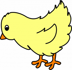 Chicken baby chick clip art - ClipartAndScrap