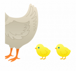 Baby Chick Clipart Pencil Clipart Hatenylo - Chicken, Transparent ...