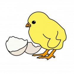 Chicken Egg Clipart | Clipart Panda - Free Clipart Images