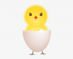 Chicken Egg Clipart - Clip Art Chicken In Egg - Free Transparent PNG ...