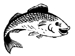 Meat Chicken Fish Clipart - Clip Art Library