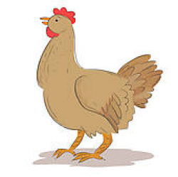 Chicken Hen Clip Art - Royalty Free - GoGraph