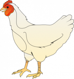 Free chicken clipart clip art pictures graphics illustrations ...