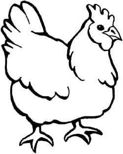 Free Chicken Graphics, Download Free Clip Art, Free Clip Art on ...