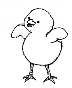 Free Picture Of Baby Chick, Download Free Clip Art, Free Clip Art on ...