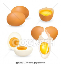 Vector Art - Chicken eggs set, vector realistic illustration ...