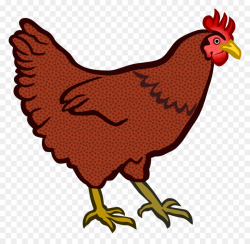 Chicken, Bird, transparent png image & clipart free download