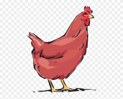 Red Hen,animal,farm,free Vector Graphics - Hen Chicken Clipart Png ...