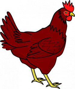 Free Red Hen Cliparts, Download Free Clip Art, Free Clip Art on ...