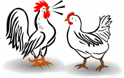 Chicken clipart rooster, Chicken rooster Transparent FREE for ...