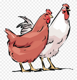 Free Clipart Of A Chicken Hen And Rooster - Hen And Rooster With ...