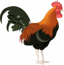 Rooster clip art cartoon free clipart images 2 | love | Chicken clip ...