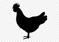 Chicken - Silhouette - Animals Illustration - Chicken - Crazy ...