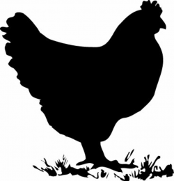 Chicken-Hen-roosters-silhouette | Sillouettes | Rooster silhouette ...