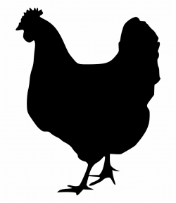 Chicken, Rooster, Silhouette, Poultry Png Image With - Free Chicken ...