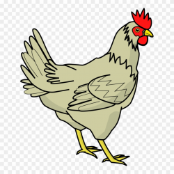 Chicken Png Images, Free Chicken Picture Download - Chicken Clipart ...