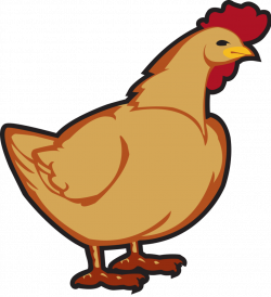 Collection of free Transparent clipart chicken. Download on UI Ex