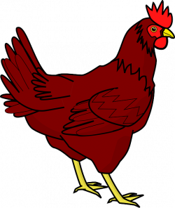 Chicken PNG Images Transparent Free Download | PNGMart.com