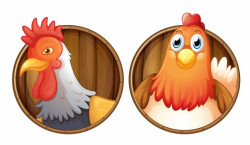 Chicken Vectors, Photos and PSD files | Free Download