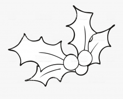 Christmas Holly Vector Black And White #2856439 - Free ...