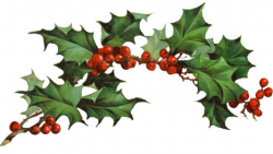 Free Christmas Cliparts Holly, Download Free Clip Art, Free Clip Art ...