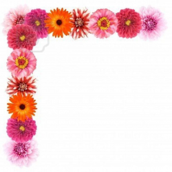 Flower border flower clip art border pictures reference 2 ...