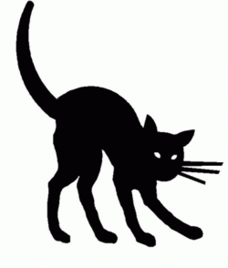 Halloween black and white halloween cat black and white ...