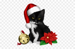 Christmas And New Year, Christmas Cats, Merry Christmas ...