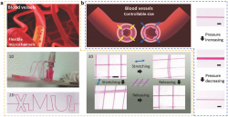 Bioinspired Universal Flexible Elastomer‐Based Microchannels ...