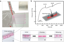 Bioinspired Universal Flexible Elastomer‐Based Microchannels ...
