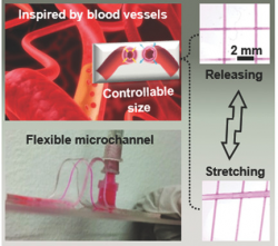 Bioinspired Universal Flexible Elastomer‐Based Microchannels ...