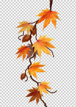 Data compression Lossless compression , feuilles PNG clipart ...