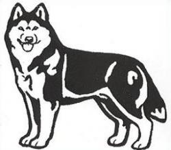Free Husky Cliparts, Download Free Clip Art, Free Clip Art ...