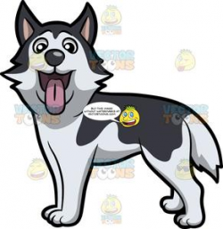 An Excited Young Husky Dog