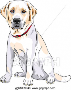 Vector Clipart - Vector sketch yellow dog breed labrador ...