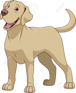 Dog clipart labrador, Dog labrador Transparent FREE for ...